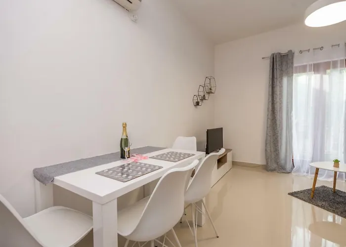 Kekel Biograd Na Moru